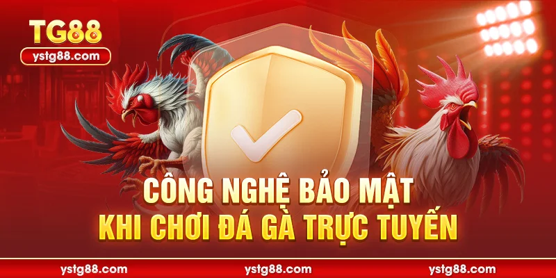 Công nghệ bảo mật khi chơi Đá gà trực tuyến